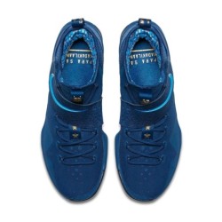 Nike LeBron 14 - Édition Spéciale King's Crown