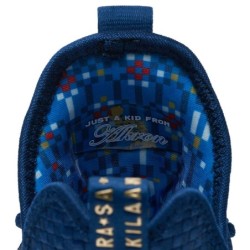 Nike LeBron 14 - Édition Spéciale King's Crown